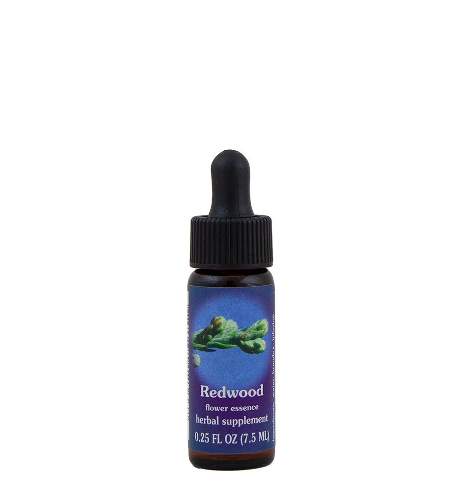 Redwood